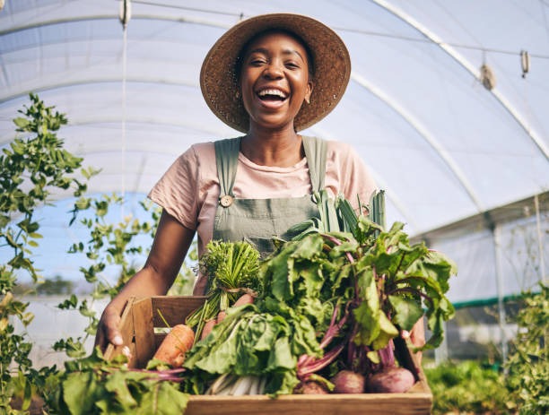 imgi 26 smile greenhouse and portrait of black woman on farm with sustainable business nature and
