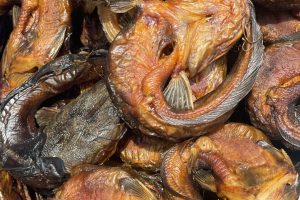 imgi 161 img 8338 scaled